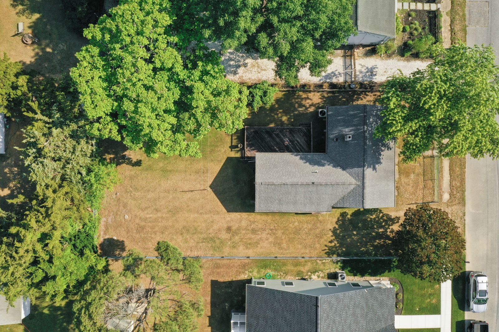 Top-down drone view of the lot and shade trees