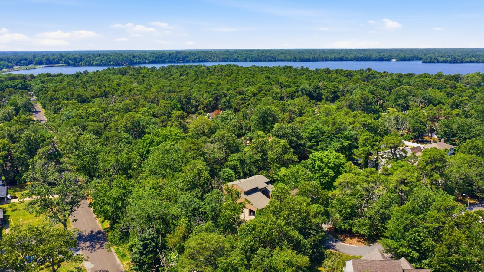 Wide drone aerial over the Millville NJ treetops